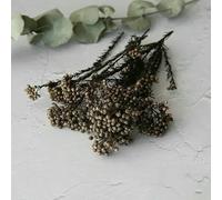 GVEKJ Fiori di riso essiccati, fiori conservati per decorazioni fai da te in casa e ufficio, materiale per colla di, candele fatte a mano, resina epossidica, fiori marroni, 10 g