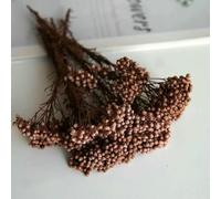 GVEKJ Fiori di riso essiccati, fiori conservati per decorazioni fai da te in casa e ufficio, materiale di, colla, candele fatte a mano, resina epossidica, fiori-caffè-20 g
