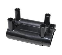 GVGMTAEAVZ Bobina di accensione adatta for CHEVROLET H3 H5 2.4 for STEED DR 5 2007-19005270 9015239 19005338 SMW250510 bobina di accensione