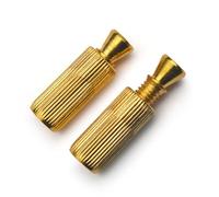 Gvvsjgdbis Bullone del Ponte di Vibrato di Chitarra Elettrica Doppio Cavalletto Swing Doppia Vite Bullone Ancora