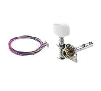 Gvvsjgdbis Set di 2 corde colorate e corde per chitarra acustica, accordatura Peg Tuner macchina per chitarra acustica