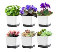 Gvvsjgdbis Set di vasi da 9,9 cm con foro di drenaggio, confezione da 6 piccoli vasi per piante da interno, idea regalo