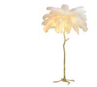 GWJKG in Resina Pollici, Pezzi Piume di Struzzo Reale, Lampada Pavimento per Camera da Letto e Adatti a Soggiorno, dormitorio, Ufficio, ()