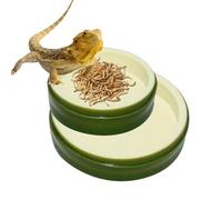 GXGM 2pcs Ciotola per Rettili, tartarughiera per Tartarughe di Terra, Adatto per Tartarughe,Lucertole,Serpenti,Rettili
