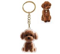 GXGM Portachiavi per riporre i peli di cane, capsula portaoggetti con peli di cane,Orsacchiotto