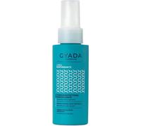 Gyada Cosmetics Termoprotettore Rinforzante con Spirulina e AQ-SAVE 100 ml - Styling Capelli