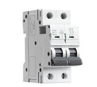 GYM9 2P 6KA Capacità di interruzione MCB Din Rail Interruttore automatico 6A-63A 1 pz(25A)