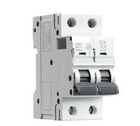 GYM9 2P 6KA Capacità di interruzione MCB Din Rail Mini interruttore automatico 6A-63A Tipo AC Produttore diretto dalla fabbrica(40A)