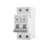 GYM9H 2POLE 10KA Capacità MCB Din Rail Mini Interruttore Automatico 6A-63A 1 Pz(50A)