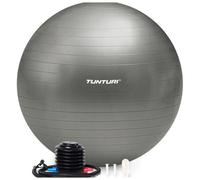 Gymball Tunturi 90 cm Argento Antipuntura