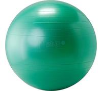 GYMNIC Plus Fit-Ball Palla Ø 55 cm verde lime per fisioterapia, fitness e riabilitazione, ideale per esercizi posturali, seduta dinamica e allenamento funzionale, per uso domestico e professionale
