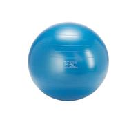 GYMNIC Plus Fit-Ball Palla Ø 65 cm blu per fisioterapia, fitness e riabilitazione, ideale per esercizi posturali, seduta dinamica e allenamento funzionale, per uso domestico e professionale