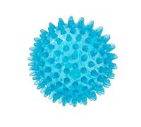GYMNIC - 4009758 - Palla riccio Reflexball, 9 cm, colore: Blu