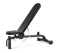 Gymrex Panca Piana Regolabile Inclinabile Panca Pesi Manubri Inclinata Braccia GR-AB 250 (135 kg, 55 mm, Acciaio, Similpelle)