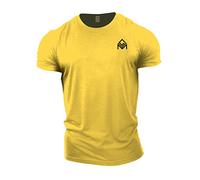 GYMTIER Maglietta da Palestra | Abbigliamento da Allenamento per Bodybuilding Uomo Plain Branded