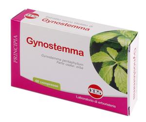 GYNOSTEMMA ESTR SEC 60CPR KOS