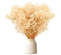 Gypsophila essiccata 30cm fiori secchi decorativi oltre 1500 boccioli, bianco naturale nebbiolina secca per decorazioni, ghirlande fai da te, casa, matrimonio, vasi