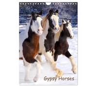 Gypsy's (Wandkalender 2026 DIN A4 hoch), CALVENDO Monatskalender: Pferde mit Puschelfüssen