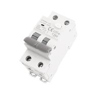 GYR9NM 230V RCBO 6KA MCB Interruttore automatico di corrente residua con protezione da sovracorrente e perdite 10A 16A 25A 32A 40A 1 pz(100mA,2P 32A)