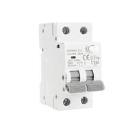 GYR9NM AC Type2P 4P interruttore magnetico con guida di protezione da sovracorrente e perdite 10A 16A 25A 32A 40A (2P 25A)