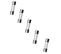 GYS Set 5 Fusibili 10A 250V Supporto per Gysflash 40 50 100 A HF - Blister - 05