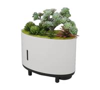 GYZOUKA Umidificatore per Piante di Simulazione Mini USB Ricaricabile 200ml Umidificatore Silenzioso Spegnimento Automatico per la Cameretta dei Bambini Decorazione della Camera da Letto (Spina