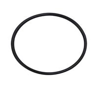 GZWY O-ring per serbatoio filtro piscina, accessori piscina per Pentair 39010200 morsetto serbatoio piscina O anello guarnizione ricambi per filtri piscina e spa accessori piscina per filtri CCP 520
