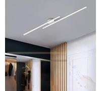 GZZBMY LED Plafoniera Soffitto Moderna Minimalista Metallo Lampada da Soffitto con Telecomando Dimmerabile Soffitto Luci per Camera da Letto Soggiorno Corridoio 3000K-6500K (Bianco,60cm)
