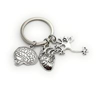 H-Customs Porte-clés pendentif en métal argenté avec des organes, un cerveau, un cœur et des nerfs