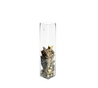 H&H 8249740 Vaso Quadro, Vetro Trasparente, 10 cm x 40 cm
