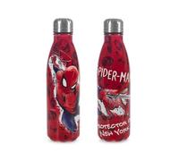 H&H Bottiglia Termica, per Bambini e Audlti, Borraccia in Acciaio Inox, Decoro Spiderman NY - 0,5Lt, Isolamento Termico, Design Unico, Ideale per Sport e Tempo Libero, Idea regalo