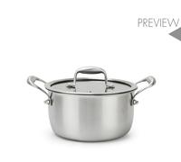 H&H Casseruola Evolution 20 cm con Coperchio in Vetro - Acciaio Inox e Alluminio, Rivestimento Antiaderente a Nido d’Ape, 2 Manici Ergonomici, Fondo per Induzione, Adatta a Tutti i Piani Cottura