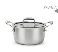 H&H Casseruola Evolution 24 cm con Coperchio in Vetro - Acciaio Inox e Alluminio, Rivestimento Antiaderente a Nido d’Ape, 2 Manici Ergonomici, Fondo per Induzione, Adatta a Tutti i Piani Cottura