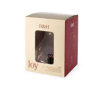 H&H Set 2 Caraffe in Vetro Borosilicato Trasparente con Manico Rosso e Miniature Natalizie - 1 Pacchetto Regalo, 1 Omino Pan di Zenzero, Ideale per la Tavola di Natale e come Regalo,