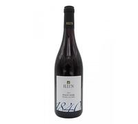 H. Lun 1840 Pinot Nero Südtirol - Alto Adige DOC 2024 0,75 ℓ