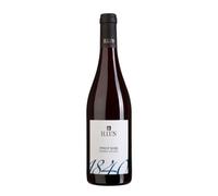 H.Lun Pinot Noir 2022 Sudtirol Alto Adige Doc 75 cl