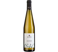 H.LUN SAUVIGNON 2023 SUDTIROL ALTO ADIGE DOC 75 CL