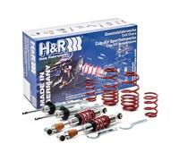H&R 29591-1 Kit molle e ammortizzatori
