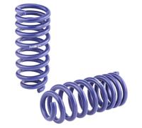 Kit Molle Assetto H&R 29791-4 per BMW 5er (E39) Touring/SW