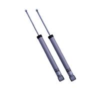 H&R Ammortizzatori Sportivi 2x Posteriori Asse Posteriore Rebound 30mm