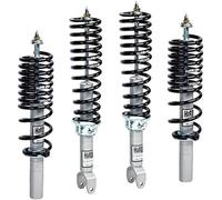 H&R Cupkit Sport compatibile con Audi A3/Seat Leon/Toledo/Skoda Octavia/Volkswagen Beetle/Bora/Golf IV 2WD 1996- - carico AA fino a 980kg AA55/AP40mm