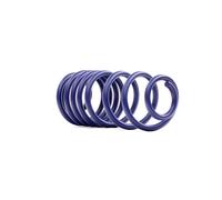 H&R Molle ribassate Molle sportive 29176HA1 Posteriore