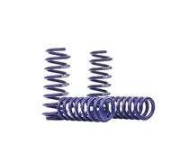 H&R Molle ribassate Molle sportive 29324-1 Anteriore Posteriore