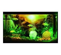 H2 SHOW Lost Civilization Kit - Decorazione per acquario