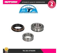 H20307BTA Kit cuscinetto ruota posteriore (MARCA BTA)..