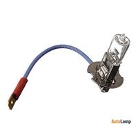 H3 Lampadine Alogena PHILIPS Faro Rally off-road 12455RAC1 Single