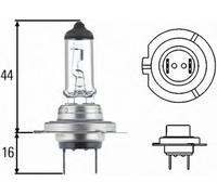 H7 12V 55W STANDARD