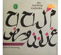 Ha-Ha I'm Drowning [Vinyl Schallplatte] [Doppel-7"-Single]