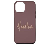 Haarlem Paesi Bassi Vintage design elegante Custodia per iPhone 12 mini