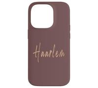 Haarlem Paesi Bassi Vintage design elegante Custodia per iPhone 14 Pro